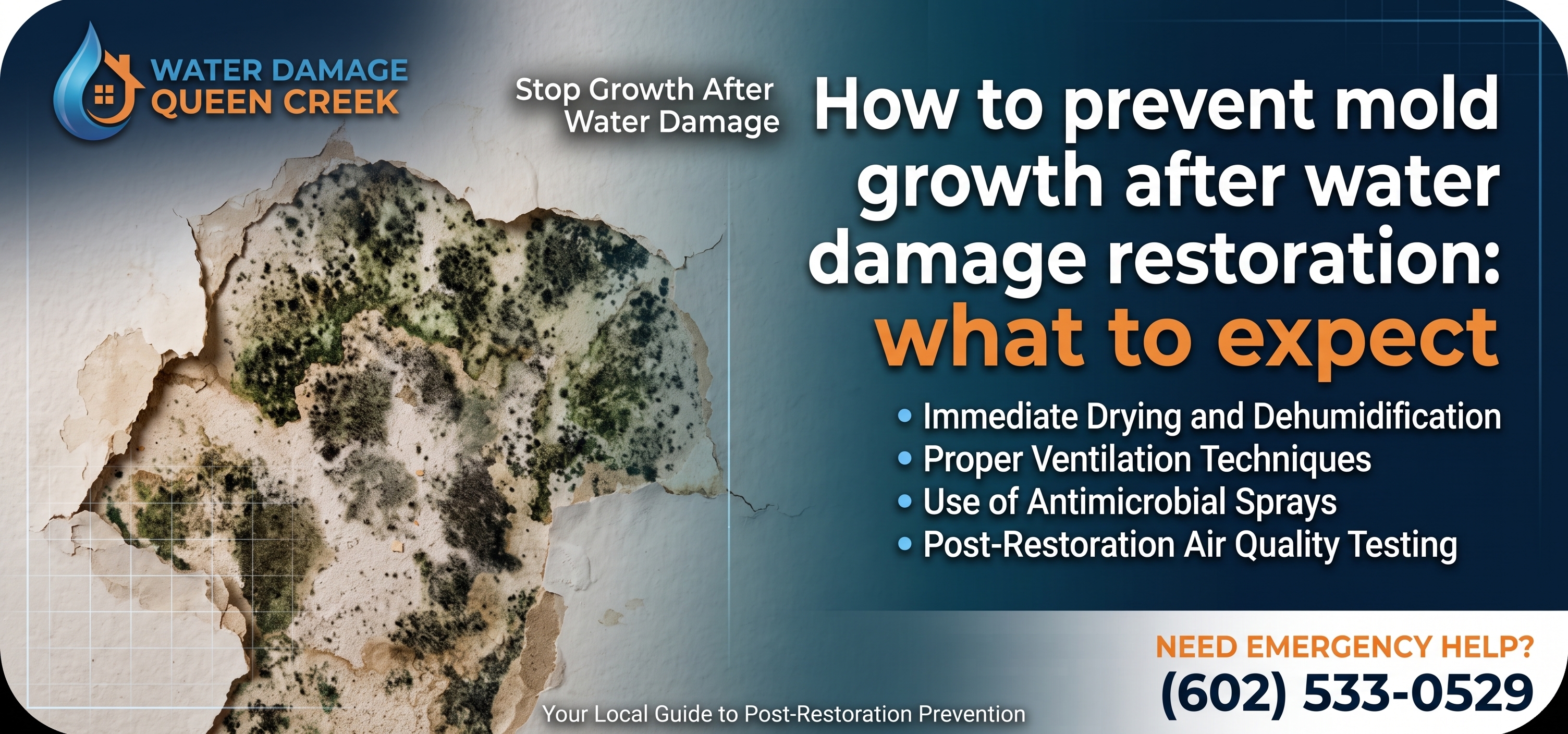 How to prevent mold growth after water damage restoration