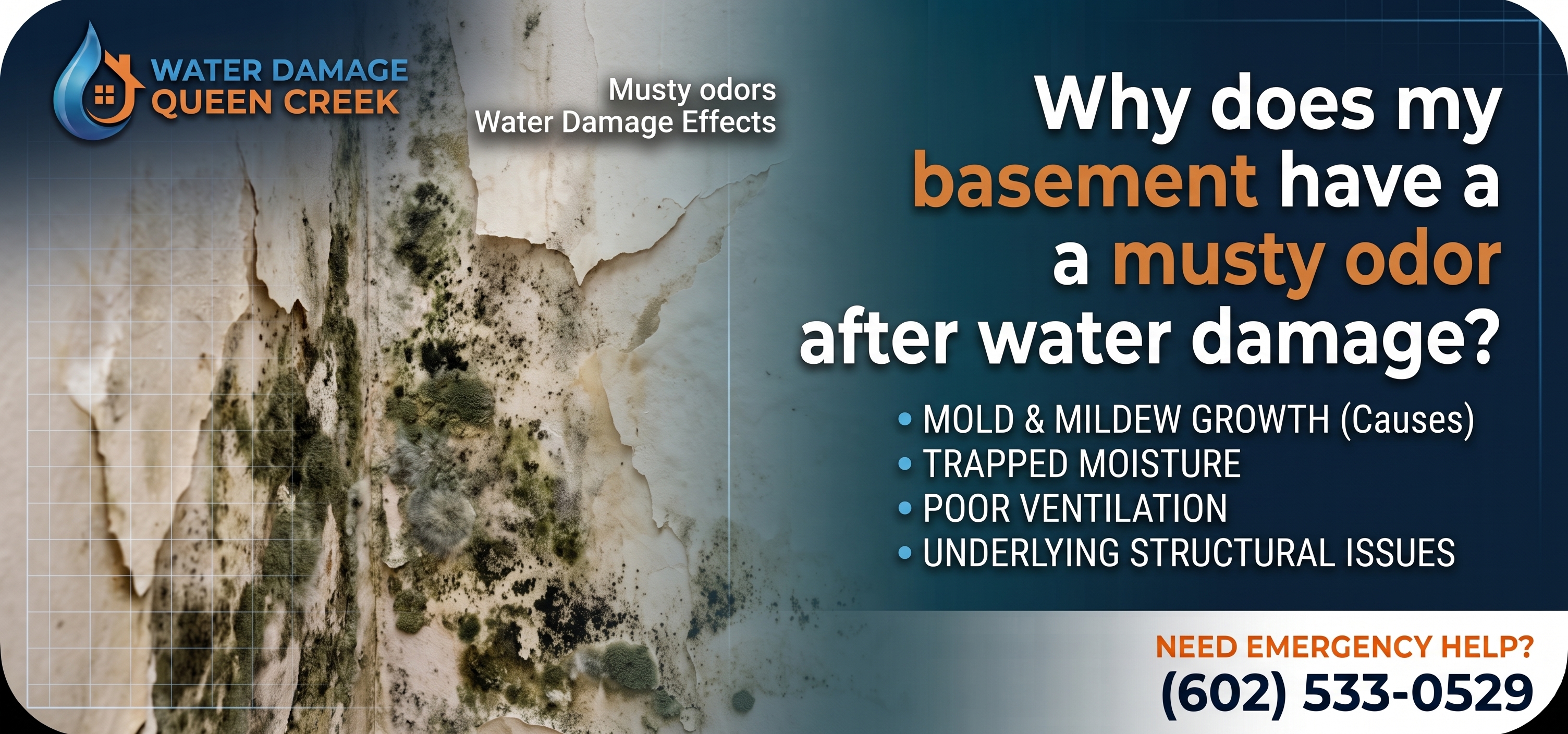 Why does my basement have a musty odor after water damage
